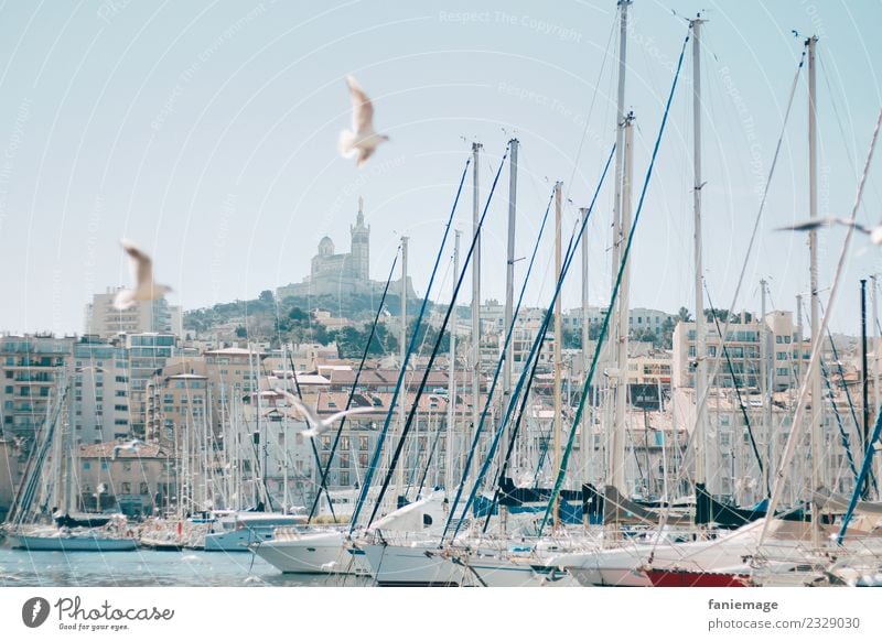 Marseille Stadt Hafenstadt historisch Provence Südfrankreich Le vieux Port Segelboot Möwenvögel fliegen Kirche Kathedrale Notre Dame de la Garde malerisch