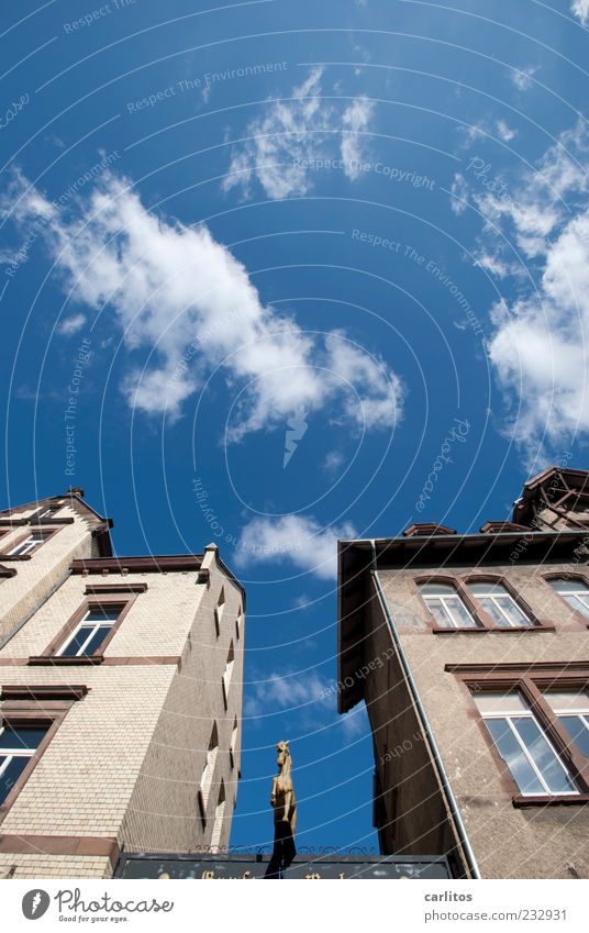 Das goldene Kalb ist ein Pferd Himmel Wolken Schönes Wetter Stadt Altstadt Haus Mauer Wand Fassade Fenster Dach alt ästhetisch eckig Symbole & Metaphern