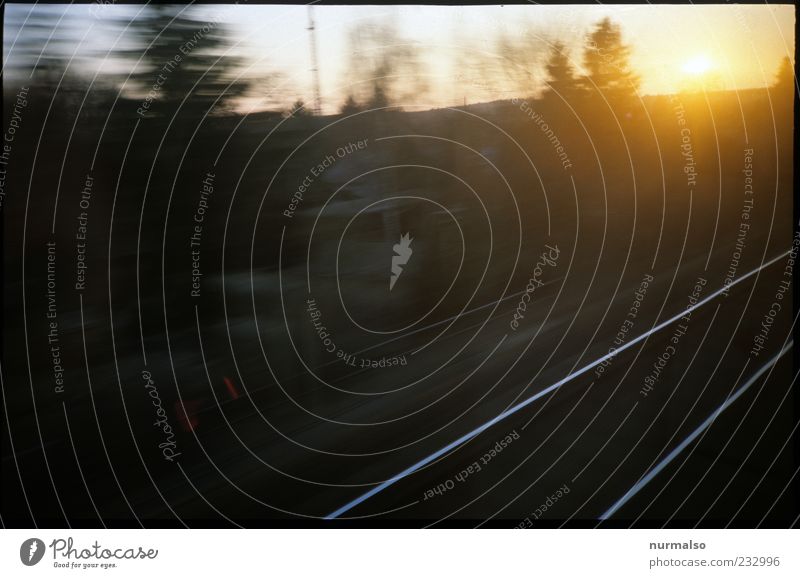 der Sonne entgegen Ausflug Freiheit Sommer Natur Landschaft Klima Schönes Wetter Verkehr Verkehrsmittel Verkehrswege Schienenverkehr Bahnfahren Eisenbahn