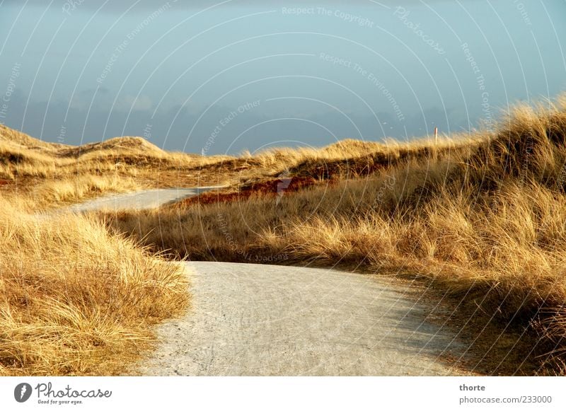 Wanderdünen Landschaft Wege & Pfade blau mehrfarbig gelb grau Stimmung Außenaufnahme Dünengras Zentralperspektive Textfreiraum unten Textfreiraum oben Fußweg