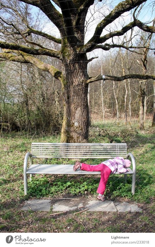 Tired by Nature Mensch Kind Mädchen Kindheit 1 Pflanze Schönes Wetter Baum Wald liegen schlafen grün ruhig Langeweile Müdigkeit Unlust Erschöpfung Bank Farbfoto