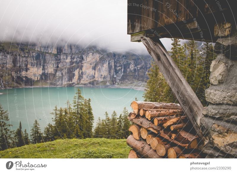 Seeblick Umwelt Natur Landschaft Wasser Sommer Nebel Pflanze Baum Gras Wald Felsen Berge u. Gebirge Oeschinensee schön blau braun grün Gefühle Freude Glück