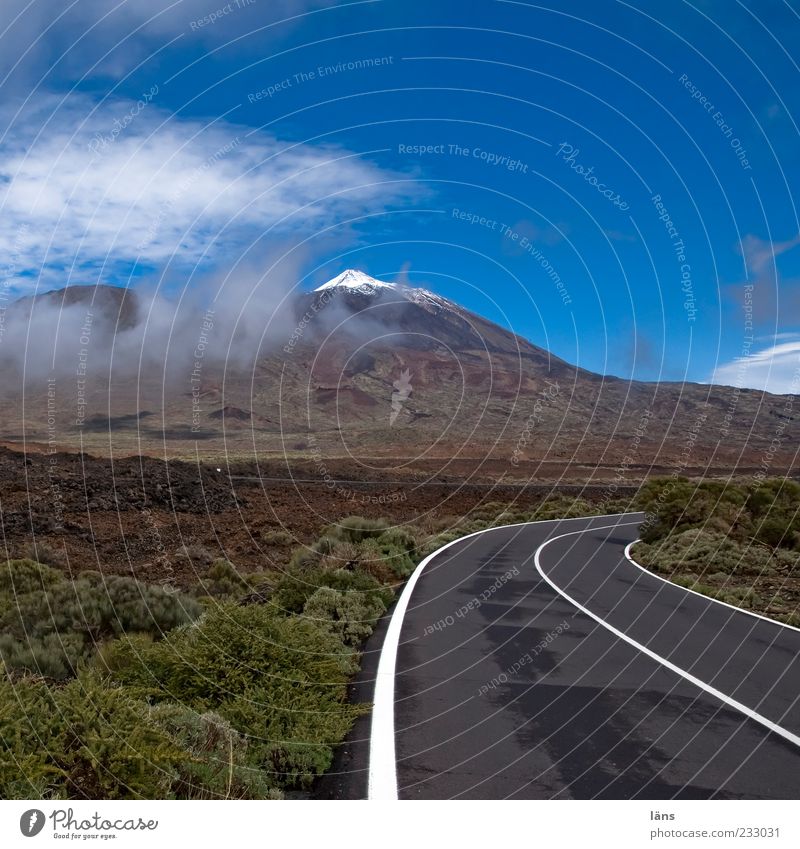 zum Gipfel Berge u. Gebirge Natur Landschaft Urelemente Himmel Wolken Schönes Wetter Sträucher Schneebedeckte Gipfel Vulkan Straße Beginn einzigartig Teide