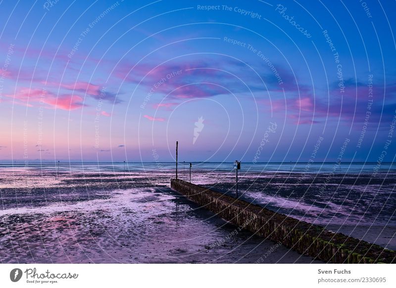 Sonnenuntergang Wattenmeer Schillig Erholung Ferien & Urlaub & Reisen Tourismus Sommer Strand Meer Umwelt Natur Landschaft Erde Wasser Himmel Wolken Horizont