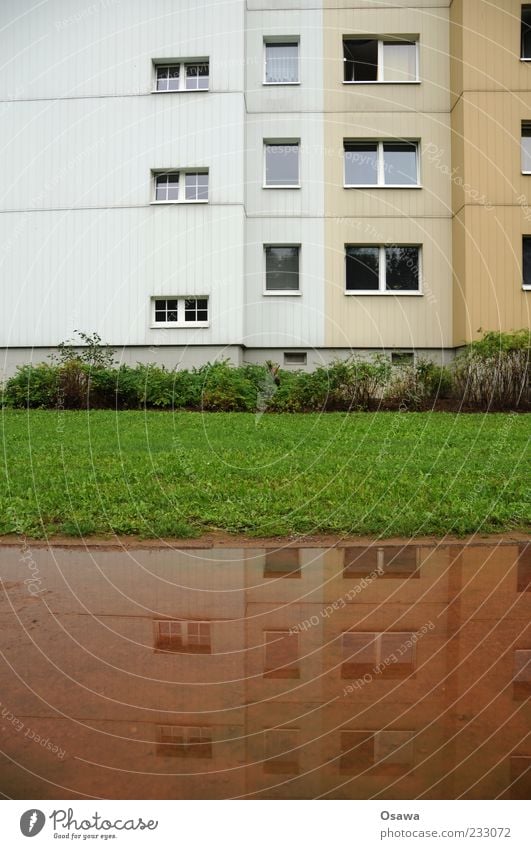 Wohnen am Wasser Wohnung Haus Gebäude Architektur Fassade Fenster Plattenbau DDR Hohenschönhausen Rasen Pfütze Reflexion & Spiegelung trüb Regen Regenwasser