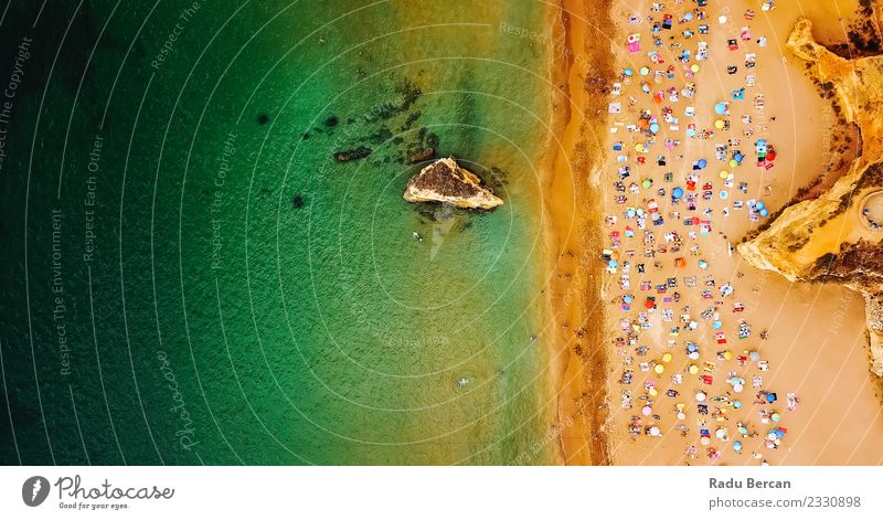 Luftaufnahme von Menschen, die Spaß am Strand von Lagos haben. Lifestyle exotisch Freude Wellness Schwimmen & Baden Ferien & Urlaub & Reisen Sommer Sommerurlaub