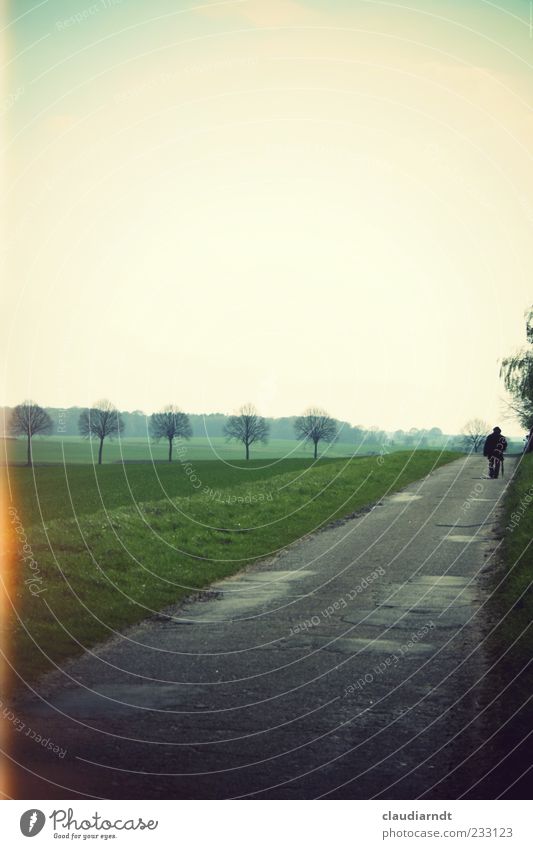 Unterwegs Mensch maskulin 1 Natur Landschaft Baum gehen Einsamkeit Blendeneffekt Retro-Farben Wege & Pfade Spazierstock Spaziergang Asphalt Ferne Farbfoto