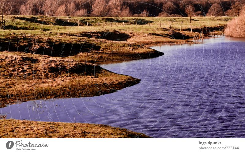 Auenland Ausflug Umwelt Natur Landschaft Pflanze Wasser Wiese Seeufer Flussufer Hochwasserrückhaltebecken Naturschutzgebiet Naturpark Hohe Mark Wesel