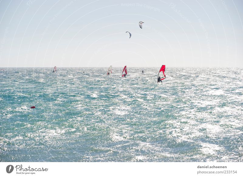 neulich am Baggersee Freizeit & Hobby Ferien & Urlaub & Reisen Tourismus Sommer Sommerurlaub Meer Wellen Wassersport Mensch Wolkenloser Himmel Schönes Wetter