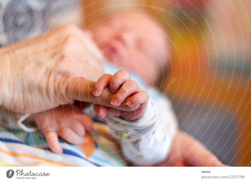 The hand of a newborn baby holds the finger of an adult Mensch Baby Hand Sicherheit Schutz Geborgenheit Shallow depth of field Sleep child clenched copy space