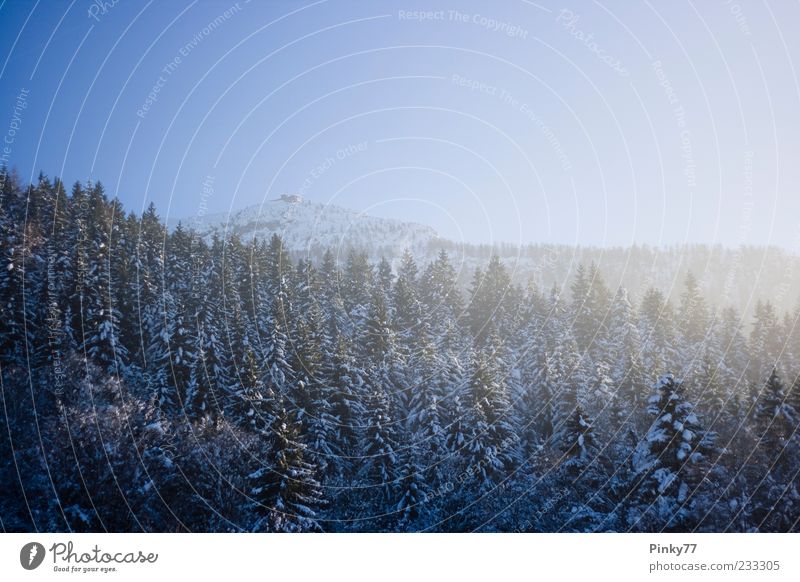 Adlerhorst schön Tourismus Winter Berge u. Gebirge Haus Landschaft Himmel Eis Frost Schnee Baum Alpen Gipfel Schneebedeckte Gipfel Obersalzberg Berchtesgaden