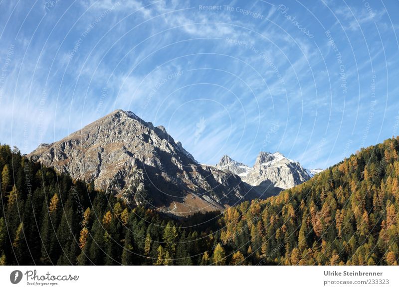 Fön Ferien & Urlaub & Reisen Tourismus Ausflug Berge u. Gebirge Natur Landschaft Pflanze Himmel Wolken Herbst Schönes Wetter Baum Felsen Alpen Bernina