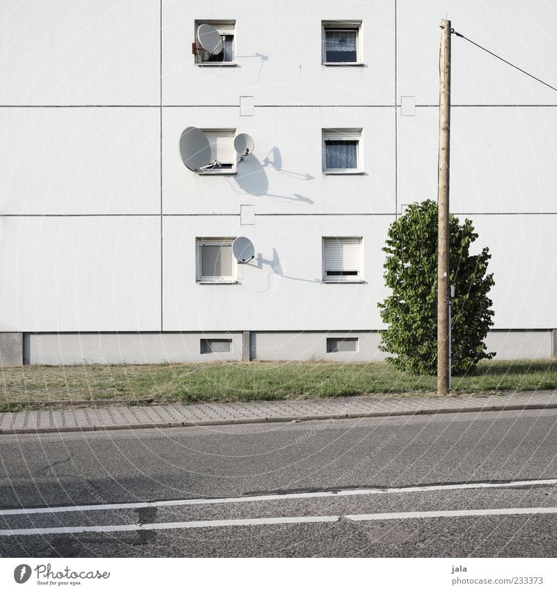 satsatt Pflanze Sträucher Wiese Haus Bauwerk Gebäude Architektur Mehrfamilienhaus Fassade Fenster Satellitenantenne Strommast Straße Wege & Pfade Bürgersteig