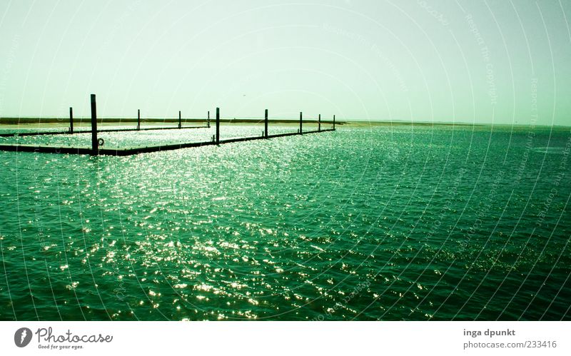 The Green Sea Ferien & Urlaub & Reisen Tourismus Ausflug Umwelt Wasser Himmel Schönes Wetter Nordsee Meer Insel Spiekeroog Nordfriesische Inseln Erholung