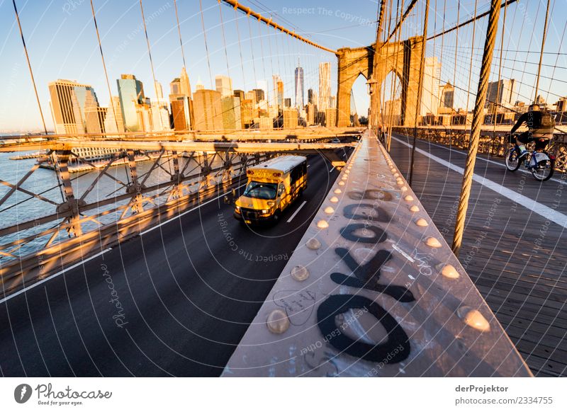 Morgens auf der Brooklyn Bridge III Starke Tiefenschärfe Kontrast Schatten Licht Tag Textfreiraum Mitte Textfreiraum unten Textfreiraum links