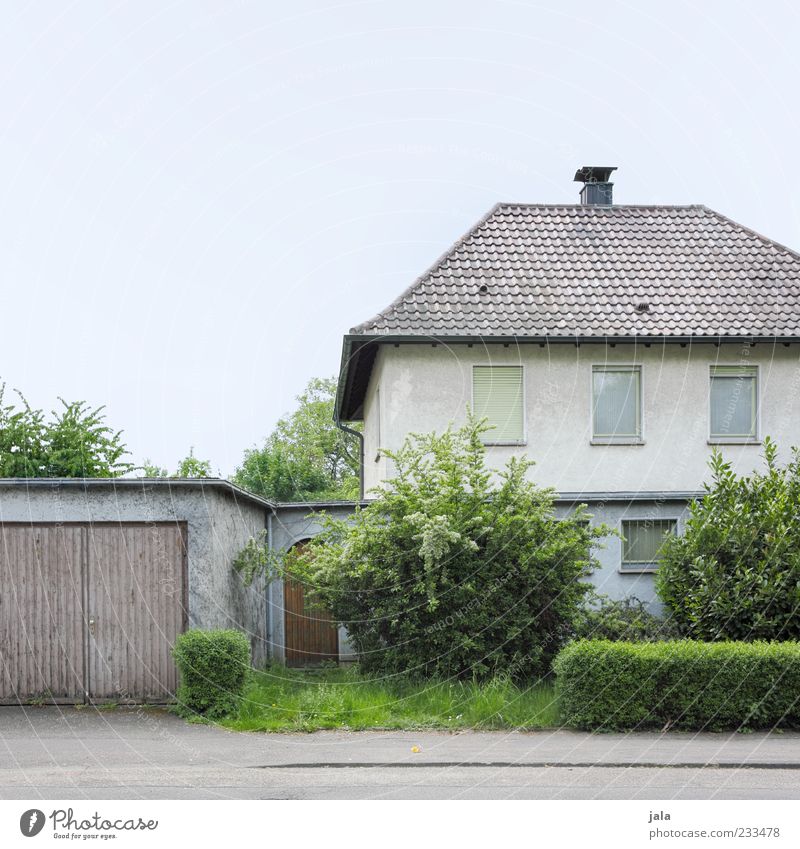 vorderansicht Wolkenloser Himmel Pflanze Baum Gras Sträucher Grünpflanze Hecke Haus Einfamilienhaus Bauwerk Gebäude Architektur Garage Garagentor Fenster Tür