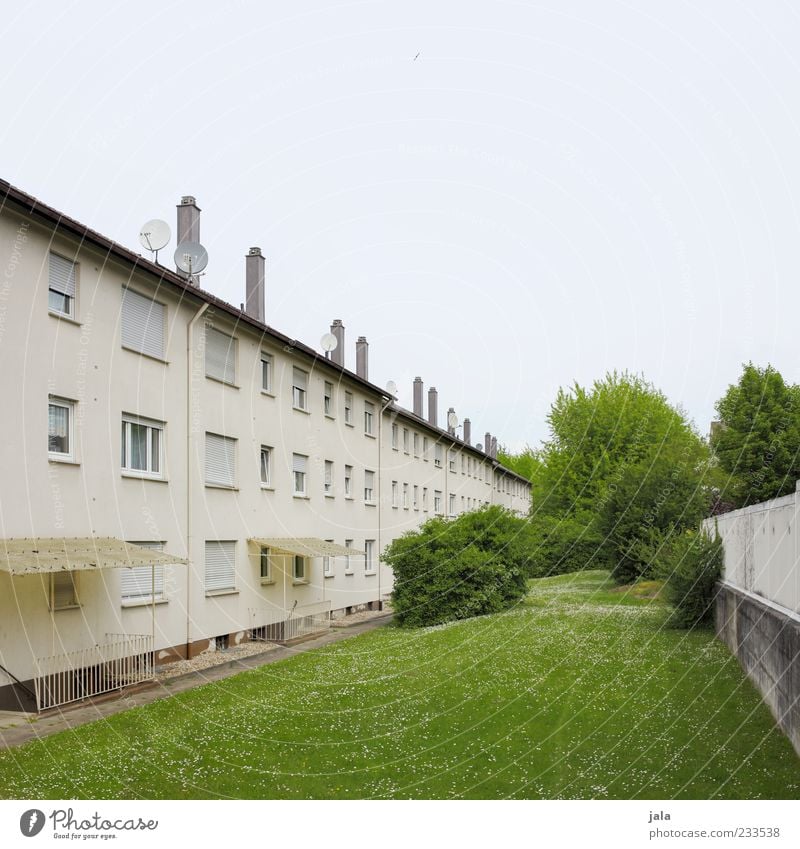 grünanlage Baum Gras Sträucher Wiese Haus Bauwerk Gebäude Architektur Mehrfamilienhaus Fenster Schornstein Satellitenantenne trist Wohngebiet Farbfoto