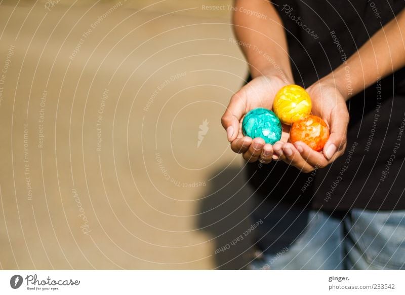 Feiertagsausbeute Kindheit Arme Hand Finger 1 Mensch Fröhlichkeit mehrfarbig Ostern Osterei 3 festhalten zeigen anbieten Tradition Schatten finden Stolz bemalt