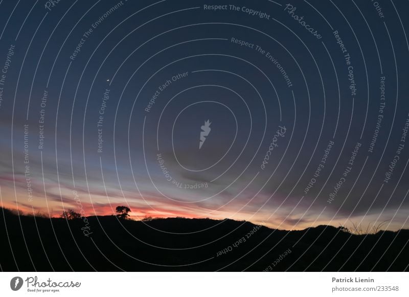 Spiekeroog | Wie alles begann schön Ferne Umwelt Natur Landschaft Urelemente Luft Himmel Wolken Nachthimmel Mond Wetter Baum dunkel blau rot Stimmung Einsamkeit