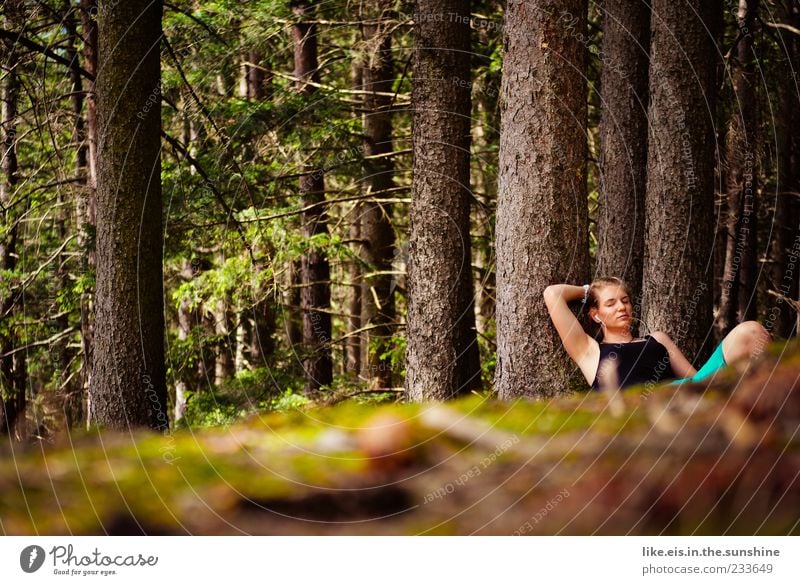 da! ein reh! harmonisch Zufriedenheit Erholung ruhig Sommer Junge Frau Jugendliche Erwachsene Arme Beine 1 Mensch 18-30 Jahre Umwelt Natur Schönes Wetter Baum