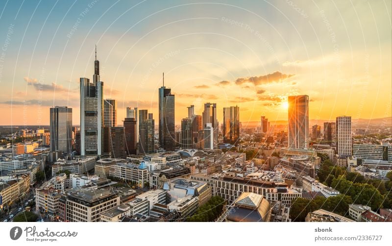 Frankfurter Sommerabend II Büro Business Frankfurt am Main Stadtzentrum Skyline Hochhaus Ferien & Urlaub & Reisen Großstadt Cityscape River Architecture