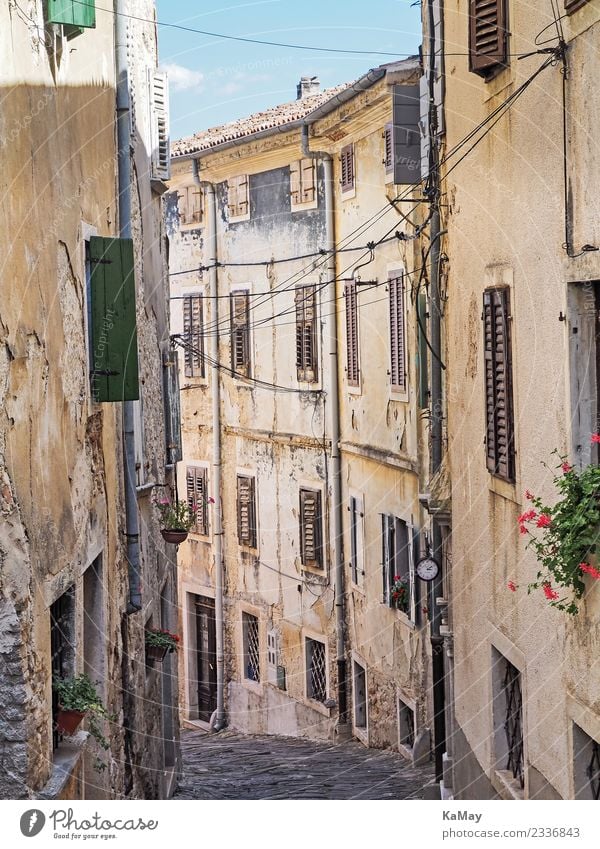 Gasse in der Altstadt von Motovun Kroatien Europa Kleinstadt Stadt Menschenleer Haus Gebäude Architektur Fassade Straße alt authentisch historisch gelb