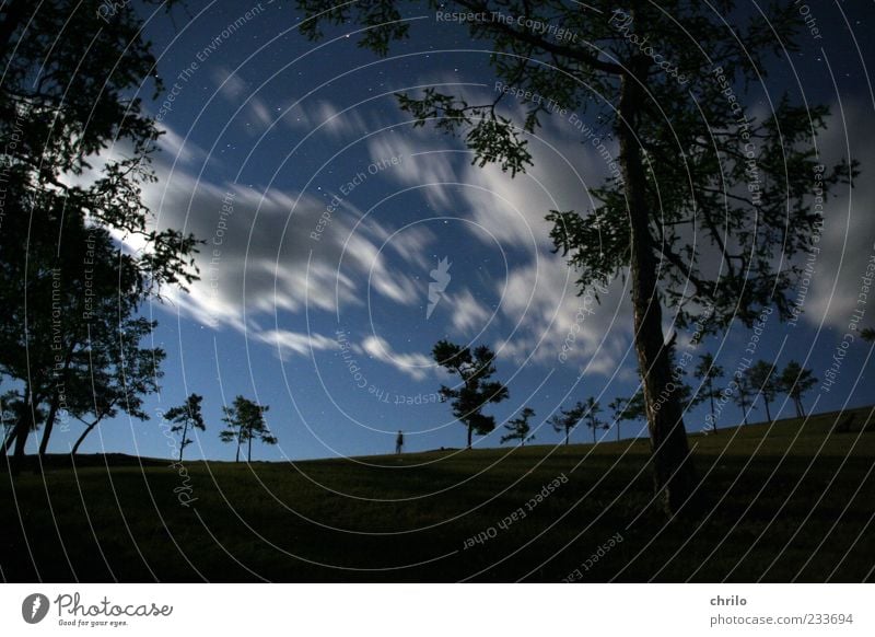 irgendwo im nirgendwo ruhig Ferne 1 Mensch Natur Landschaft Himmel Wolken Nachthimmel Horizont Wind Baum Wald Hügel leuchten blau weiß Bewegung Freiheit