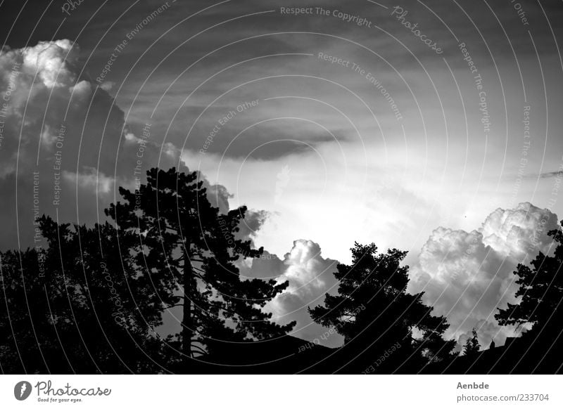 Wolkenlawine Umwelt Landschaft Urelemente Luft Himmel Gewitterwolken Klima Klimawandel Wetter schlechtes Wetter Unwetter Wind Sturm Stimmung Endzeitstimmung