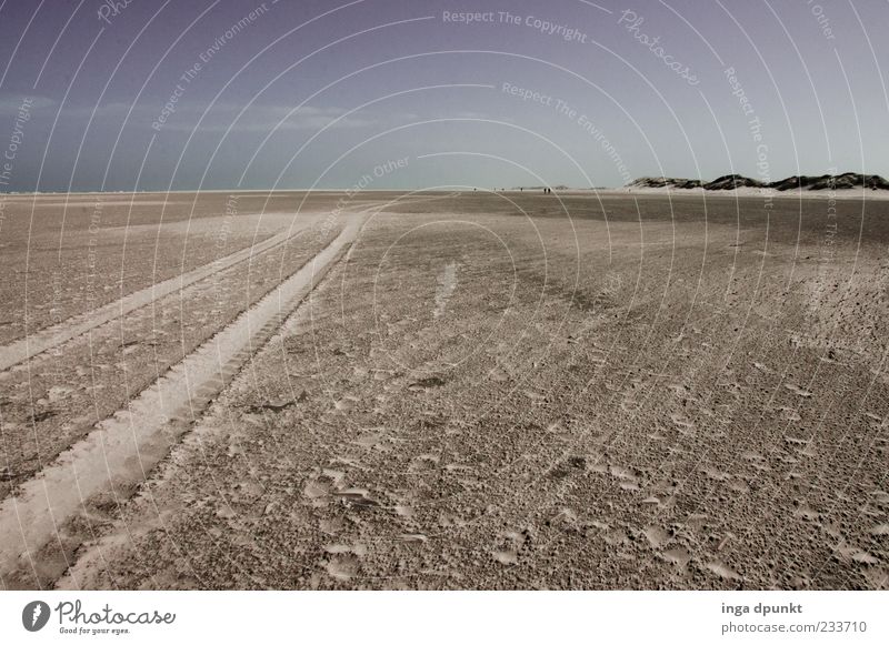 Streets of Spiekeroog Umwelt Natur Landschaft Küste Strand Insel Spuren Ostfriesische Inseln Nordsee Nordseeinsel Menschenleer Wege & Pfade Sand Erholung