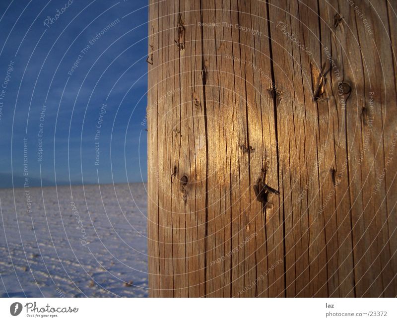 Golden Wood Holz Winter obskur gold Himmel Baumstamm Strommast Schnee