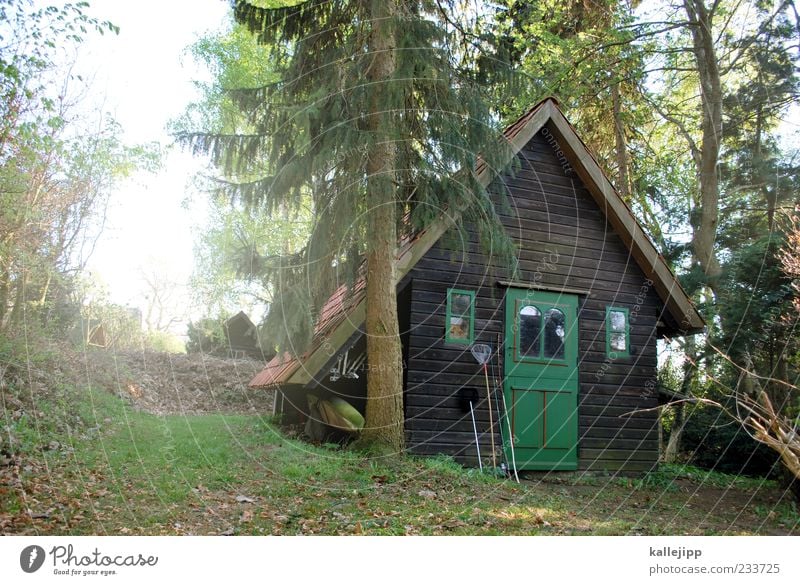 der fischer und seine frau Lifestyle Stil Erholung ruhig Ferne Freiheit Sonne Häusliches Leben Wohnung Haus Garten frei Hütte Angelrute Kescher Holz Baum Tanne