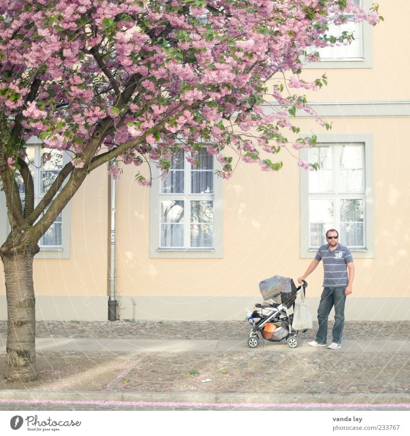 Moderne Väter Haus Mensch maskulin Mann Erwachsene Eltern Vater Familie & Verwandtschaft Leben 1 30-45 Jahre Baum Blüte Zusammensein Glück modern Kinderwagen