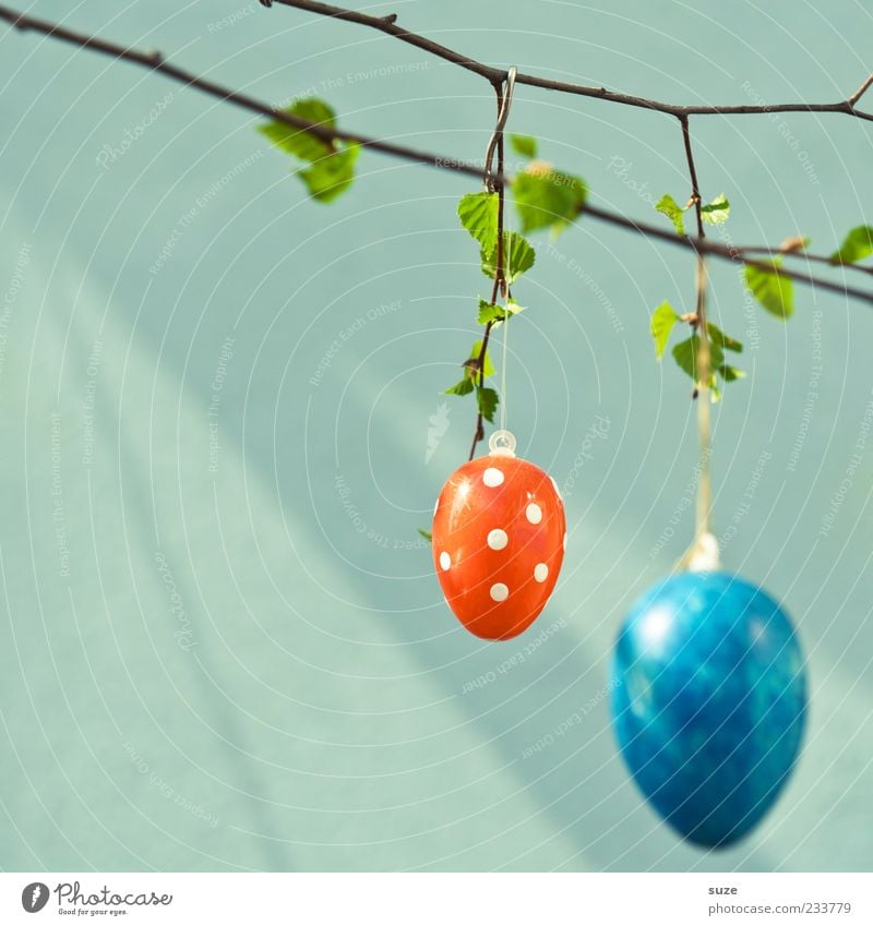 A.I. Dekoration & Verzierung Ostern Frühling Blatt hängen authentisch einfach Fröhlichkeit schön Kitsch klein niedlich rund rot Glück Vorfreude Ei Osterei