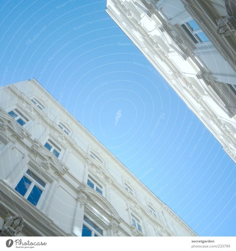 wie man sich als ameise fühlt. Himmel Wolkenloser Himmel Sommer Schönes Wetter Bauwerk Gebäude Architektur Fassade Fenster groß blau weiß Schanzenviertel