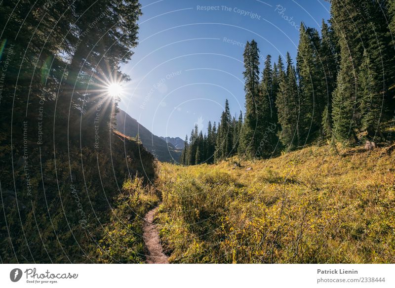 Maroon-Snowmass Wilderness Wohlgefühl Zufriedenheit Sinnesorgane Erholung Ferien & Urlaub & Reisen Ausflug Abenteuer Ferne Freiheit Berge u. Gebirge wandern