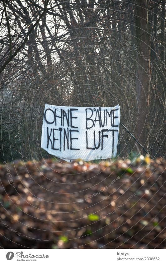 wie wahr ! Natur Pflanze Erde Herbst Winter Baum Transparente Schriftzeichen Hinweisschild Warnschild Graffiti Kommunizieren authentisch nachhaltig positiv Wut