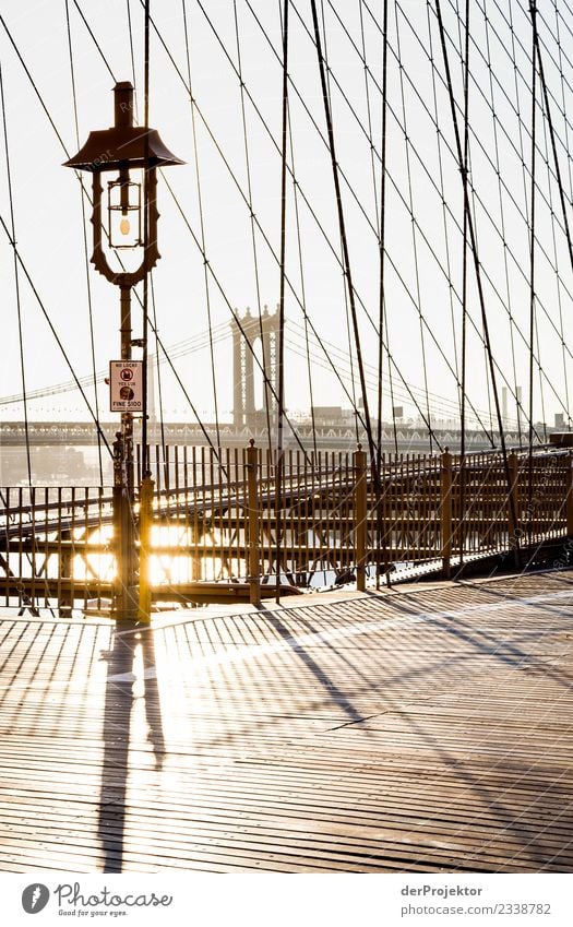 Morgens auf der Brooklyn Bridge II Starke Tiefenschärfe Kontrast Schatten Licht Tag Textfreiraum Mitte Textfreiraum unten Textfreiraum links Textfreiraum rechts