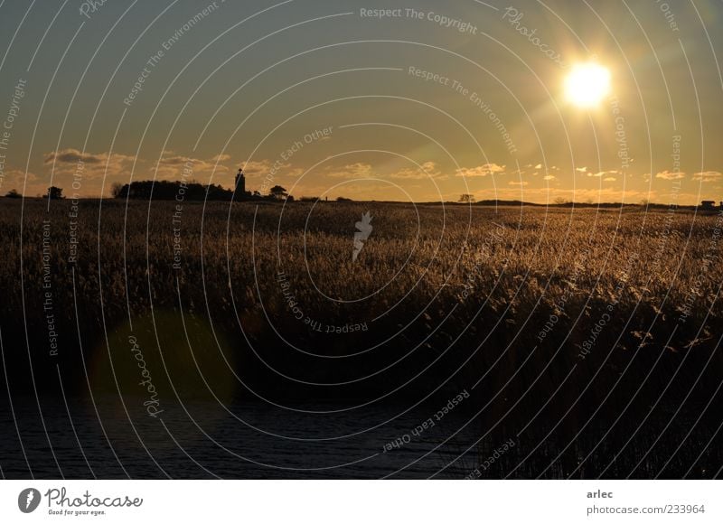 Zeitlos Landschaft Pflanze Himmel Sonne Sonnenaufgang Sonnenuntergang Schönes Wetter Wildpflanze Küste Leuchtturm Optimismus Kraft Willensstärke Freiheit