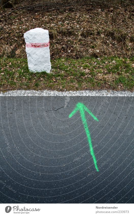 Stein des Anstosses... Gras Wiese Straße Wege & Pfade Zeichen Schilder & Markierungen Linie Pfeil Beginn Richtung richtungweisend Richtungswechsel Asphalt