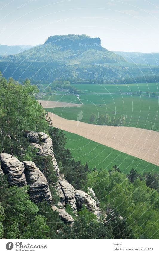 Tafelberg Ferien & Urlaub & Reisen Tourismus Ferne Freiheit Berge u. Gebirge Umwelt Natur Landschaft Himmel Wolkenloser Himmel Klima Wald Felsen außergewöhnlich