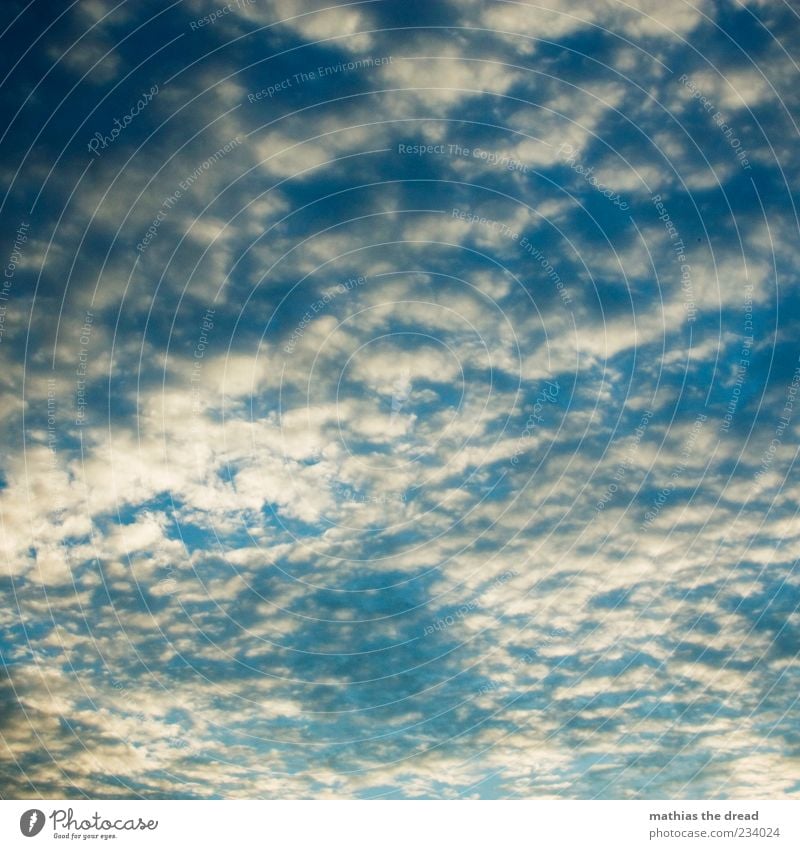 HIMMEL Umwelt Natur Himmel nur Himmel Wolken Schönes Wetter Unendlichkeit blau Schweben schön ruhig Idylle weiß Farbfoto mehrfarbig Außenaufnahme