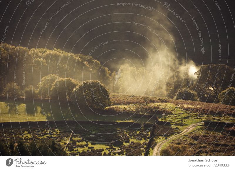 Landschaft im Peak District, England Umwelt Natur ästhetisch Lebensfreude Landschaftsformen Rauch Nebel Dunst Landwirtschaft Naturschutzgebiet Großbritannien