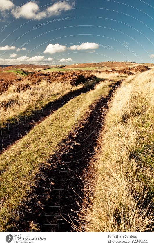 Feldweg im Peak District, England Umwelt Natur Landschaft Erde Himmel Sommer Herbst Schönes Wetter blau braun gelb gold Gras Außenaufnahme Naturschutzgebiet