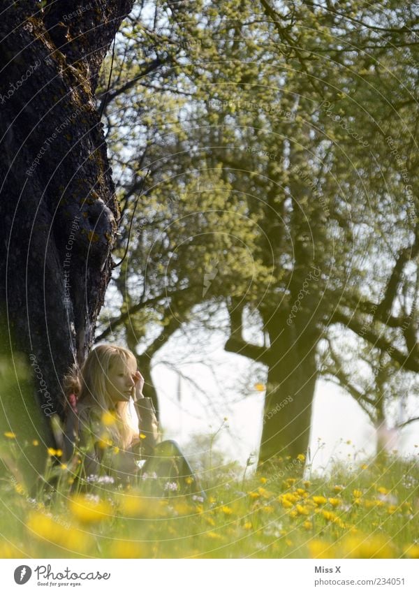 Träumerle Erholung ruhig Ausflug Mensch Junge Frau Jugendliche 1 18-30 Jahre Erwachsene Natur Frühling Sommer Schönes Wetter Baum Blume Gras Blüte Garten Wiese