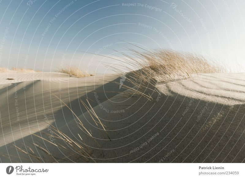 Spiekeroog | Another World Erholung Strand Meer Umwelt Natur Landschaft Pflanze Urelemente Sand Himmel Wolkenloser Himmel Klima Schönes Wetter Wind Küste