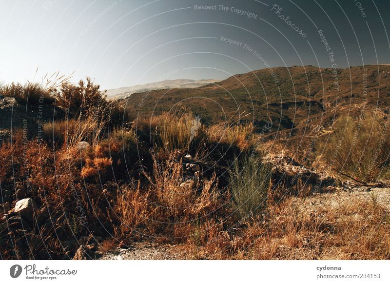 Weite Ferne Freiheit Umwelt Natur Landschaft Erde Wolkenloser Himmel Sommer Klima Wärme Dürre Gras Sträucher Berge u. Gebirge Einsamkeit Horizont Idylle Leben