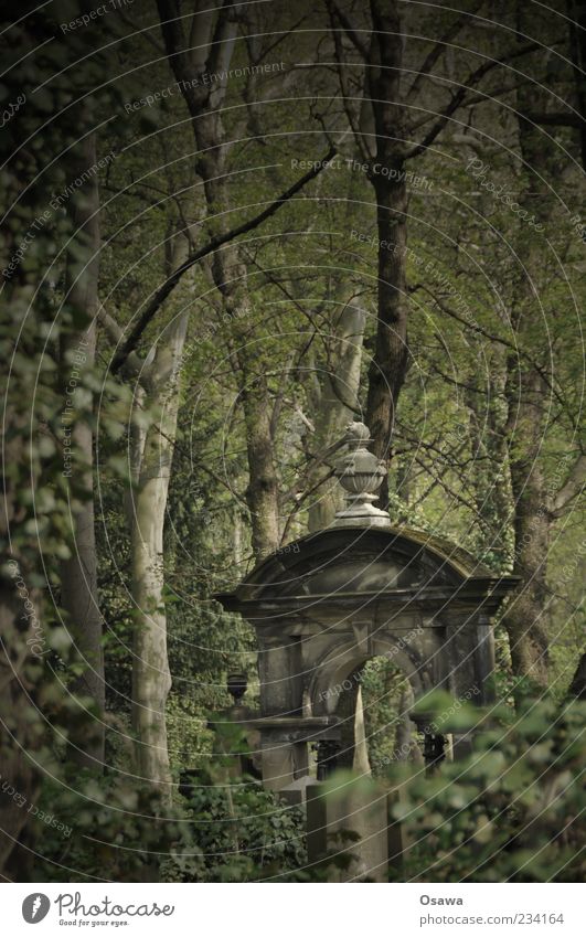 Waldfriedhof Friedhof Grabstein Gruft ruhig Menschenleer Tod Religion & Glaube Zweige u. Äste gruselig Grabmal Stein erinnern Beerdigung Trauer Natur