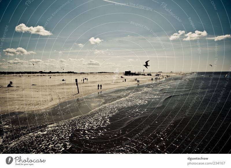 Strandtag Erholung ruhig Schwimmen & Baden Freizeit & Hobby Ausflug Sommer Sonne Meer Wellen Mensch Leben Natur Landschaft Sand Luft Wasser Wolken