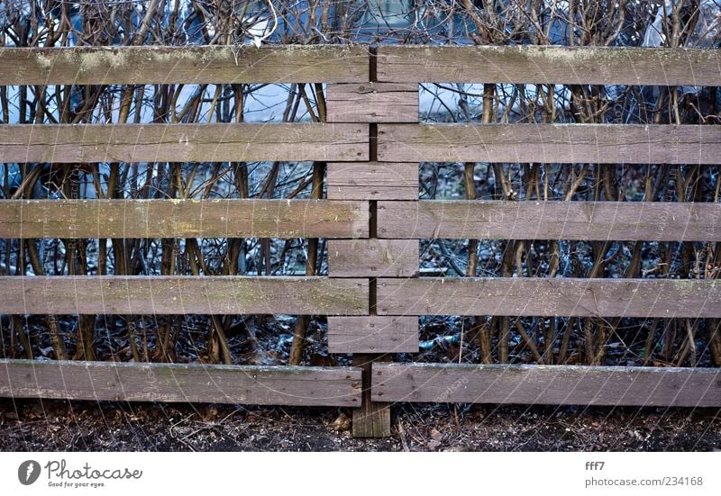 Finnischer Zaun Häusliches Leben Garten Hausbau Landschaft Erde Schönes Wetter Park Ostsee Helsinki Finnland Europa Architektur Mauer Wand Holz schön blau braun