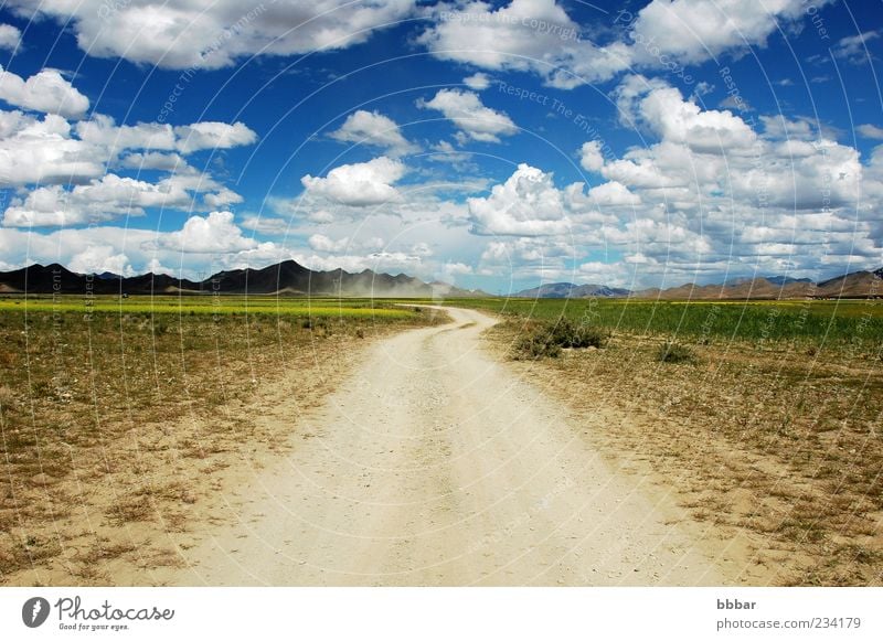 Landschaft Ferien & Urlaub & Reisen Ausflug Freiheit Sommer Sonne Umwelt Natur Luft Erde Himmel Wolken Horizont Sonnenlicht Wetter Schönes Wetter Gras Wiese